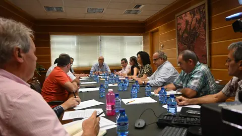 Reunión con las OPAS