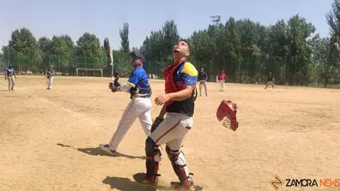 los bravos veisbo sóftbol en zamora _51