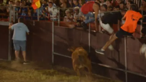 villaralbo toros vaquillas_13