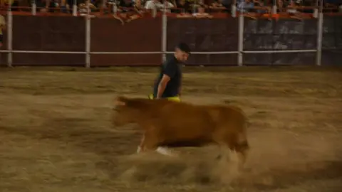 villaralbo toros vaquillas_15