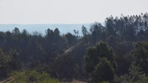 fuego alcañices_32
