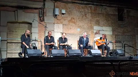 flamenco villaralbo_7