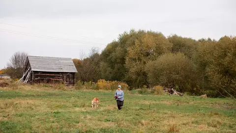 Despoblación Archivo