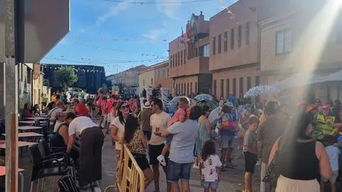 desfile de carrozas de Quiruelas de Vidriales (1)