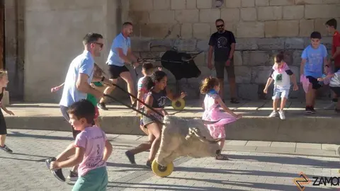 Tarde taurina para peques. Villaralbo_15