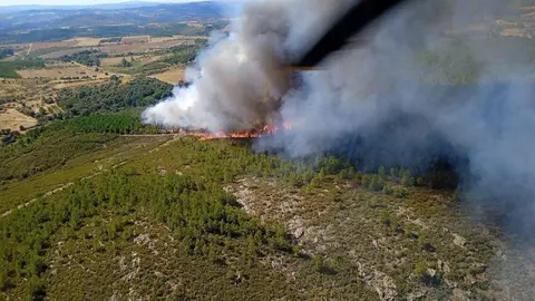 Incendio Trabazos. Junta CyL