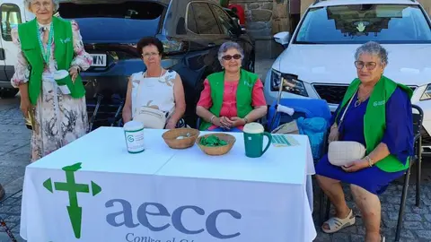 Virgen de la Bandera en Fermoselle. Por Francisco Marcos (1)