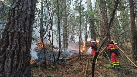 Incendio Trabazos, imagen subdelegación