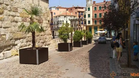 macetas doña urraca_9