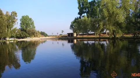 amazonas zamorano _6