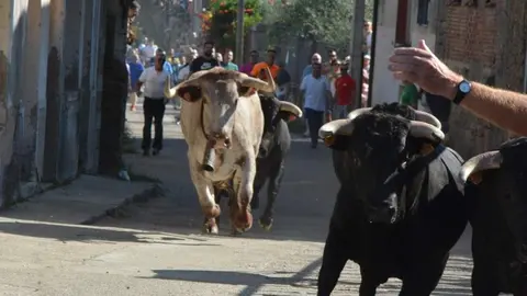 encierro sábado fermoselle _22