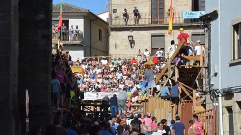 encierro sábado fermoselle _58