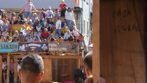 encierro sábado fermoselle _62