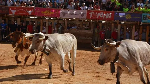 encierro sábado fermoselle _80