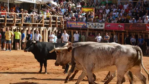 encierro sábado fermoselle _82