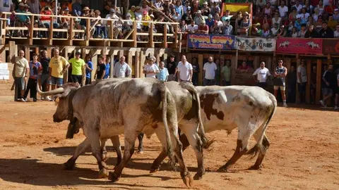 encierro sábado fermoselle _84