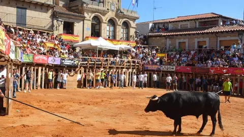 encierro sábado fermoselle _98
