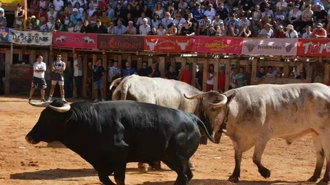 encierro sábado fermoselle _181