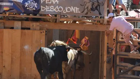 encierro sábado fermoselle _187