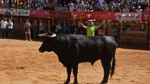 encierro s&aacute;bado fermoselle _100