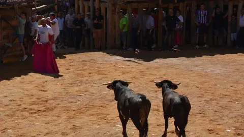 encierro s&aacute;bado fermoselle _140