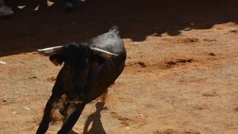 encierro s&aacute;bado fermoselle _145