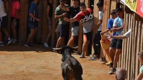 encierro s&aacute;bado fermoselle _146