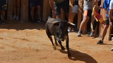 encierro s&aacute;bado fermoselle _147