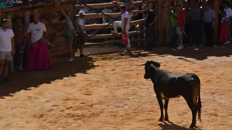 encierro s&aacute;bado fermoselle _149