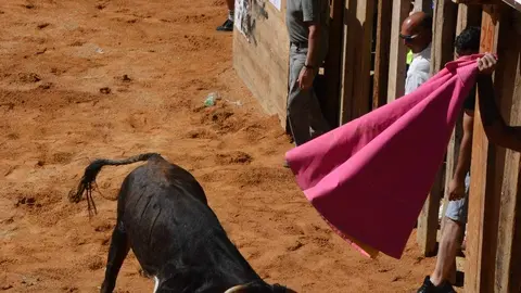 encierro s&aacute;bado fermoselle _152