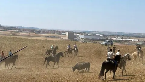 encierro sábado toro_2