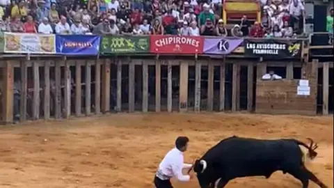 cortadores fermoselle