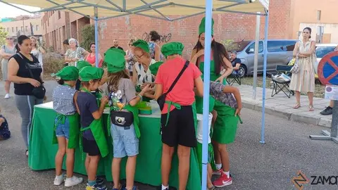 Mini Chef San Frontis_5