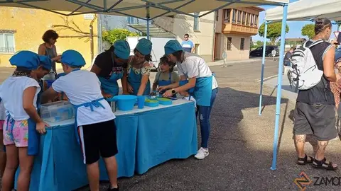 Mini Chef San Frontis_6