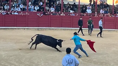 toro domingo encierro urbano_5
