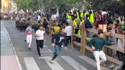 encierro manada compacta