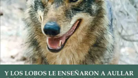 Y-los-lobos
