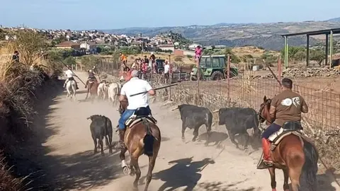 a caballo encierro fermoselle 2024_5