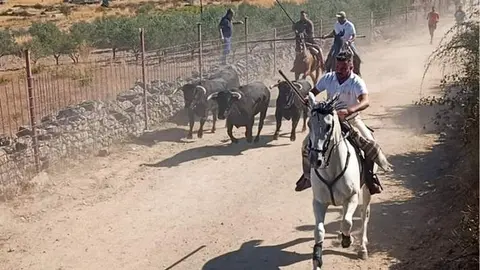 a caballo encierro fermoselle 2024_6