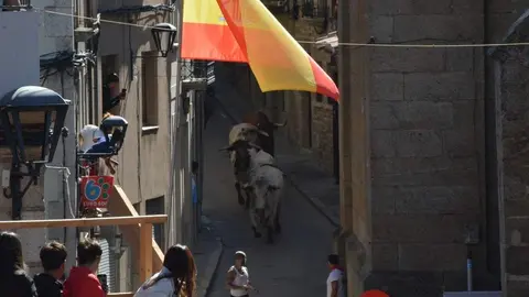 a caballo encierro fermoselle 2024_44