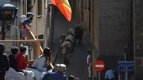 a caballo encierro fermoselle 2024_45