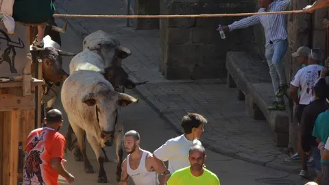 a caballo encierro fermoselle 2024_48