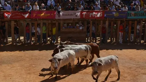 a caballo encierro fermoselle 2024_53
