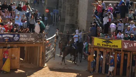 a caballo encierro fermoselle 2024_67