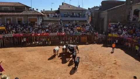 a caballo encierro fermoselle 2024_74
