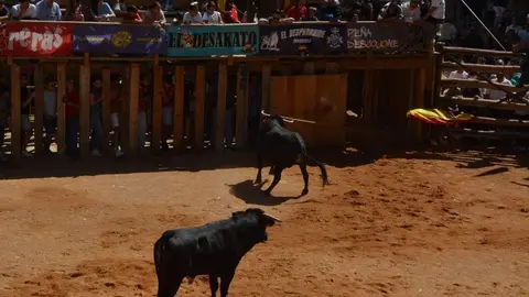 a caballo encierro fermoselle 2024_98