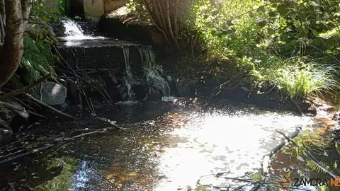 valdespino agua sucia y vertidos _4