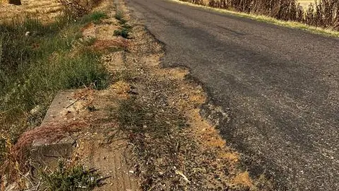 San Pedro deZamudia Micereces de Tera