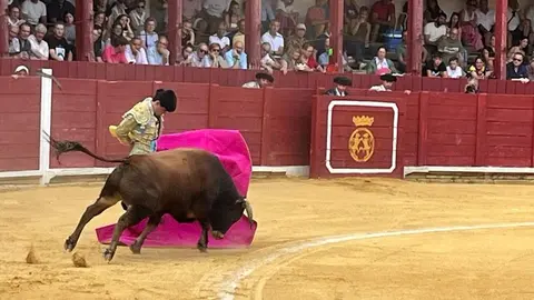 toros en toro _6