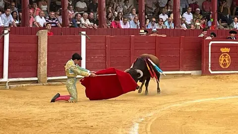 toros en toro _7